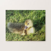 niedliches Kind im Grasgans Puzzle (Horizontal)