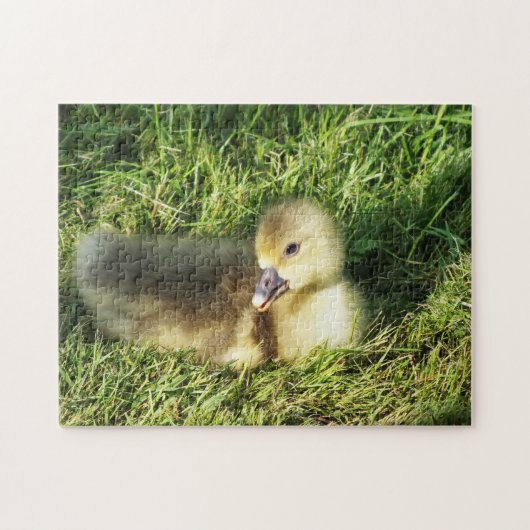 niedliches Kind im Grasgans Puzzle (Horizontal)
