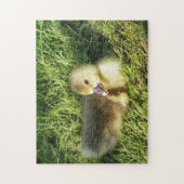 niedliches Kind im Grasgans Puzzle (Vertikal)