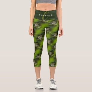 Niedliches Kinglet Songbird verursacht eine Stir i Capri Leggings