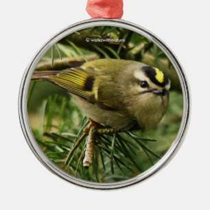 Niedliches Kinglet Songbird verursacht eine Stir i Ornament Aus Metall
