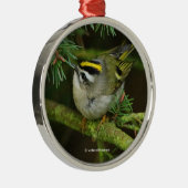 Niedliches Kinglet Songbird verursacht eine Stir i Ornament Aus Metall (Rechts)