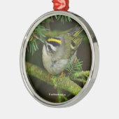 Niedliches Kinglet Songbird verursacht eine Stir i Ornament Aus Metall (Links)