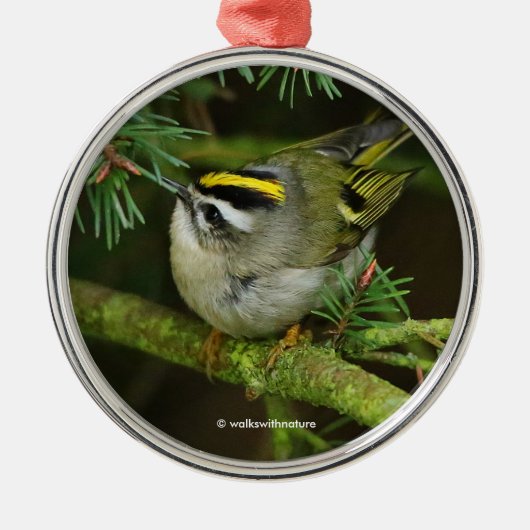 Niedliches Kinglet Songbird verursacht eine Stir i Ornament Aus Metall (Vorne)