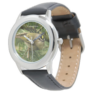 Niedliches Kinglet Songbird verursacht Stir in der Armbanduhr