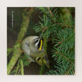 Niedliches Kinglet Songbird verursacht Stir in der Puzzle (Horizontal)