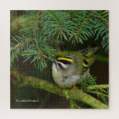 Niedliches Kinglet Songbird verursacht Stir in der Puzzle (Vertikal)