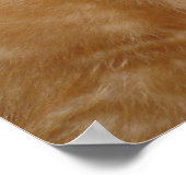 Niedliches Kit! Poster (Ecke)