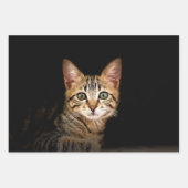 Niedliches Kitebop Pack Geschenkpapier Set (Vorderseite 3)