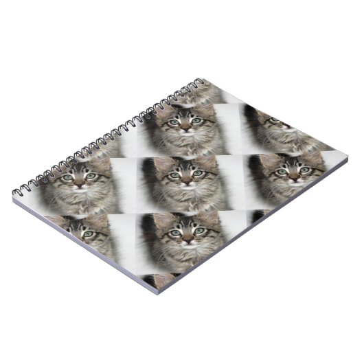 Niedliches Kitebox Notizblock (Linke Seite)