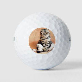 Niedliches Kitten ausgespült Golfball