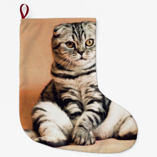 Niedliches Kitten ausgespült Großer Weihnachtsstrumpf
