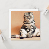 Niedliches Kitten ausgespült Karte (Vorderseite/Rückseite Beispiel)
