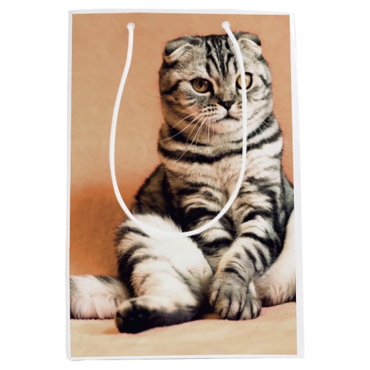 Niedliches Kitten ausgespült Mittlere Geschenktüte (Vorderseite)