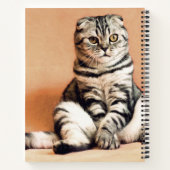 Niedliches Kitten ausgespült Notizblock (Rückseite)