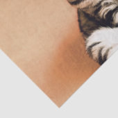 Niedliches Kitten ausgespült Seidenpapier (Ausschnitt)