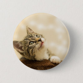 Niedliches Kitten mit ausgestreckter Pfote Button