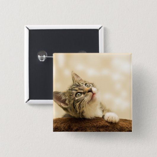 Niedliches Kitten mit ausgestreckter Pfote Button (Vorne & Hinten)