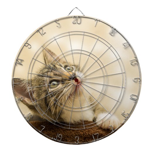 Niedliches Kitten mit ausgestreckter Pfote Dartscheibe (vorne)