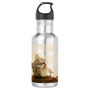 Niedliches Kitten mit ausgestreckter Pfote Edelstahlflasche