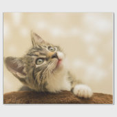 Niedliches Kitten mit ausgestreckter Pfote Geschenkpapier (Flach)