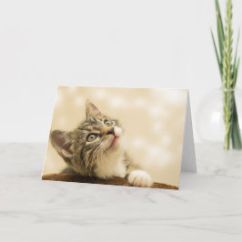 Niedliches Kitten mit ausgestreckter Pfote Karte