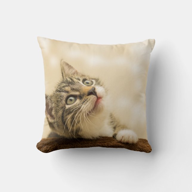 Niedliches Kitten mit ausgestreckter Pfote Kissen (Vorderseite)