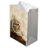 Niedliches Kitten mit ausgestreckter Pfote Mittlere Geschenktüte (Vorderseite Schrägansicht)