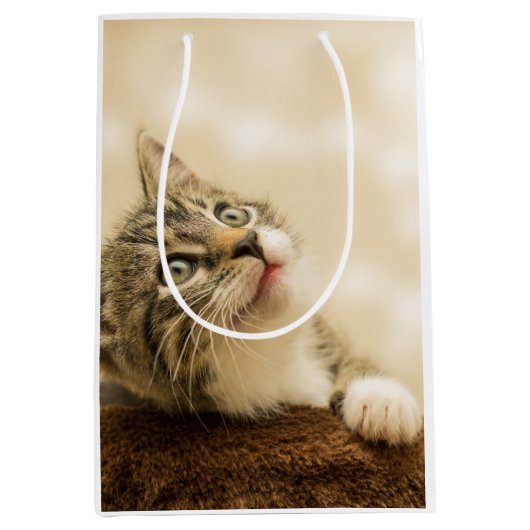 Niedliches Kitten mit ausgestreckter Pfote Mittlere Geschenktüte (Vorderseite)