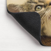 Niedliches Kitten mit ausgestreckter Pfote Mousepad (Ecke)