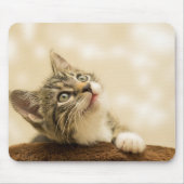 Niedliches Kitten mit ausgestreckter Pfote Mousepad (Vorne)
