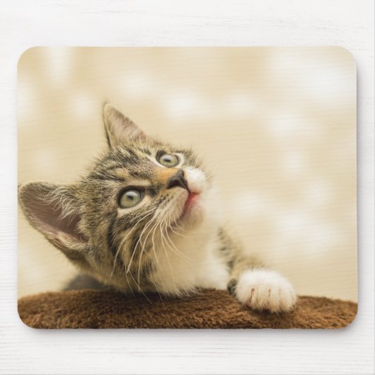 Niedliches Kitten mit ausgestreckter Pfote Mousepad (Vorne)