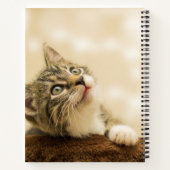 Niedliches Kitten mit ausgestreckter Pfote Notizblock (Rückseite)