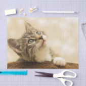 Niedliches Kitten mit ausgestreckter Pfote Seidenpapier (Handwerk)