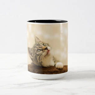 Niedliches Kitten mit ausgestreckter Pfote Zweifarbige Tasse