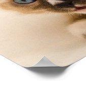 Niedliches Kitten mit blauen Augen Poster (Ecke)