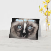 Niedliches Kitten mit Blue Eyes Happy Birthday Karte (Gelbe Blume)