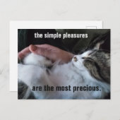 Niedliches Kittenangebot Einfache Pleasys anpassba Postkarte (Vorne/Hinten)