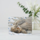 Niedliches Kittin Postkarte (Stehend Vorderseite)