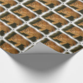 Niedliches Kittpapier Geschenkpapier (Ecke)