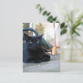 Niedliches Kitty Lay - Postkarte (Stehend Vorderseite)