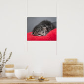 Niedliches Kitty Poster (Küche)