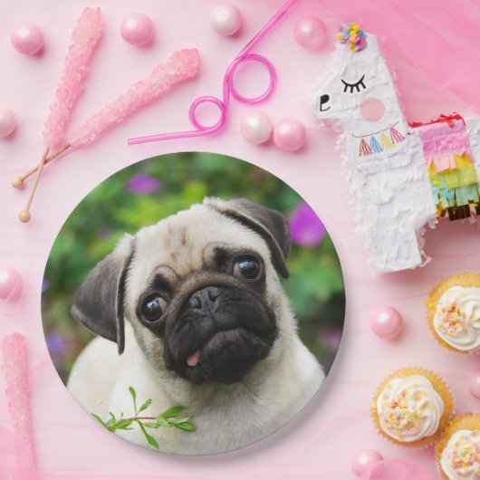 Niedliches Kitz-Mops-Welpen-Hundeporträt, Pappteller (Party)
