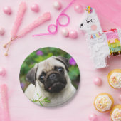 Niedliches Kitz-Mops-Welpen-Hundeporträt, Pappteller (Party)