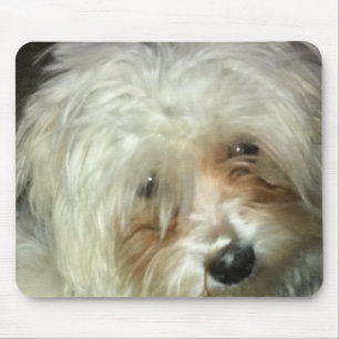 Niedliches kleines Casper Mousepad