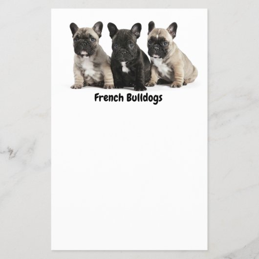 Niedliches kleines französisches Bulldog-Label Flyer (Vorne)