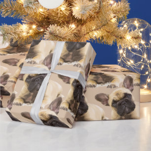 Niedliches kleines französisches Bulldog-Tiermuste Geschenkpapier