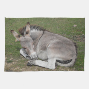 Niedliches kleines graues Donkey-Baby-Fohlen abgel Geschirrtuch
