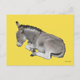 Niedliches kleines graues Donkey-Baby-Fohlen abgel Postkarte