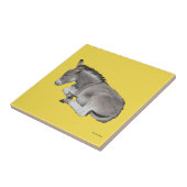 Niedliches kleines graues Donkey-Baby-Fohlen-Schla Fliese (Seite)